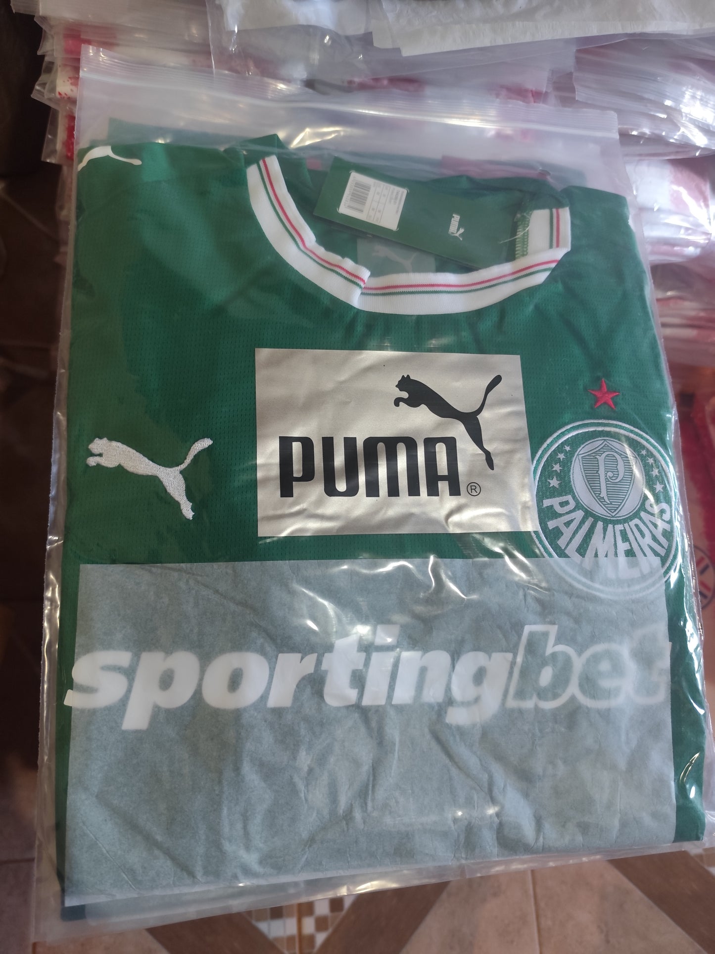 Palmeiras 2027 v. Fan Tailandesa 1.1