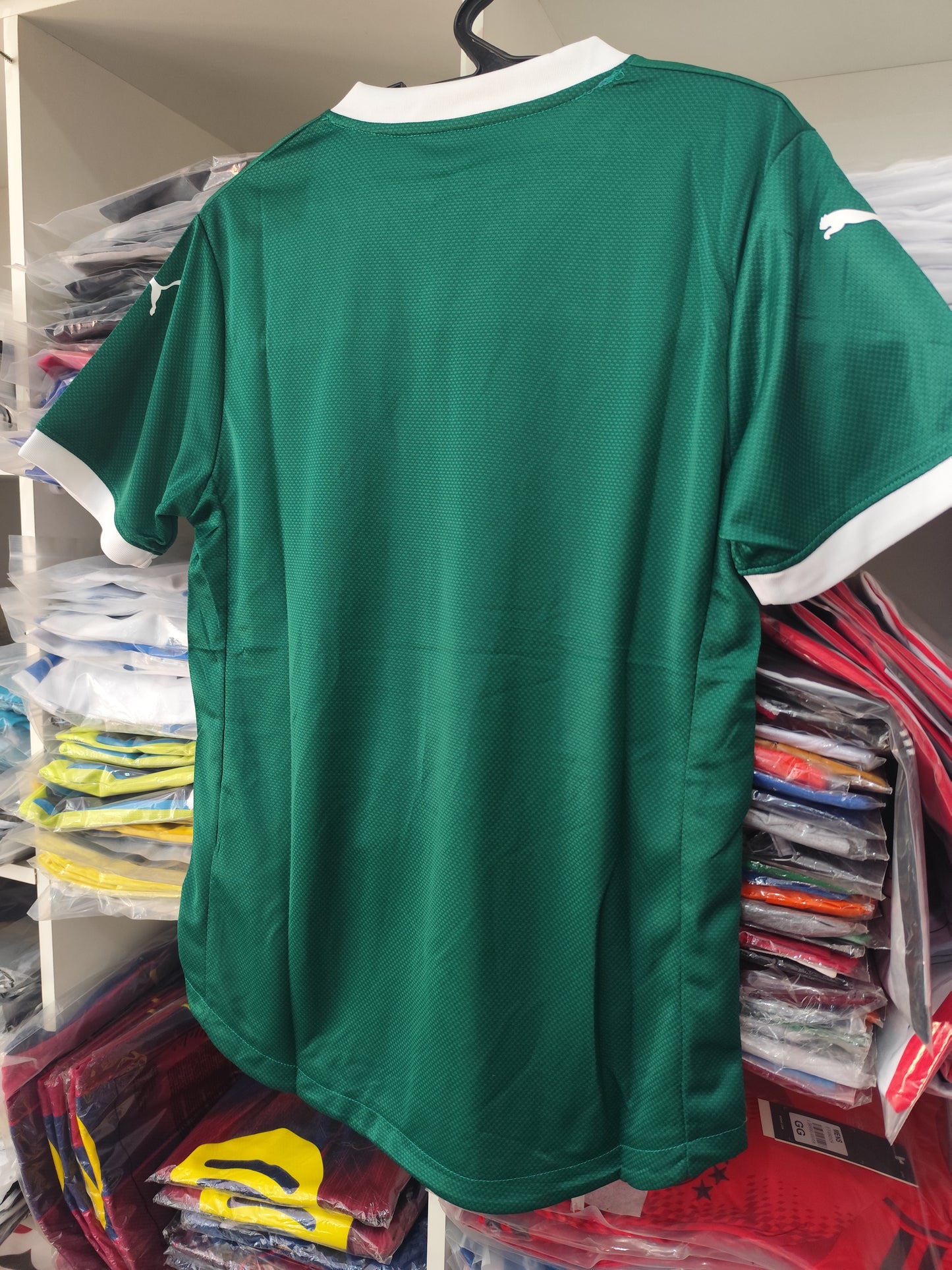 Palmeiras Versión Jugador Tailandesa 1.1