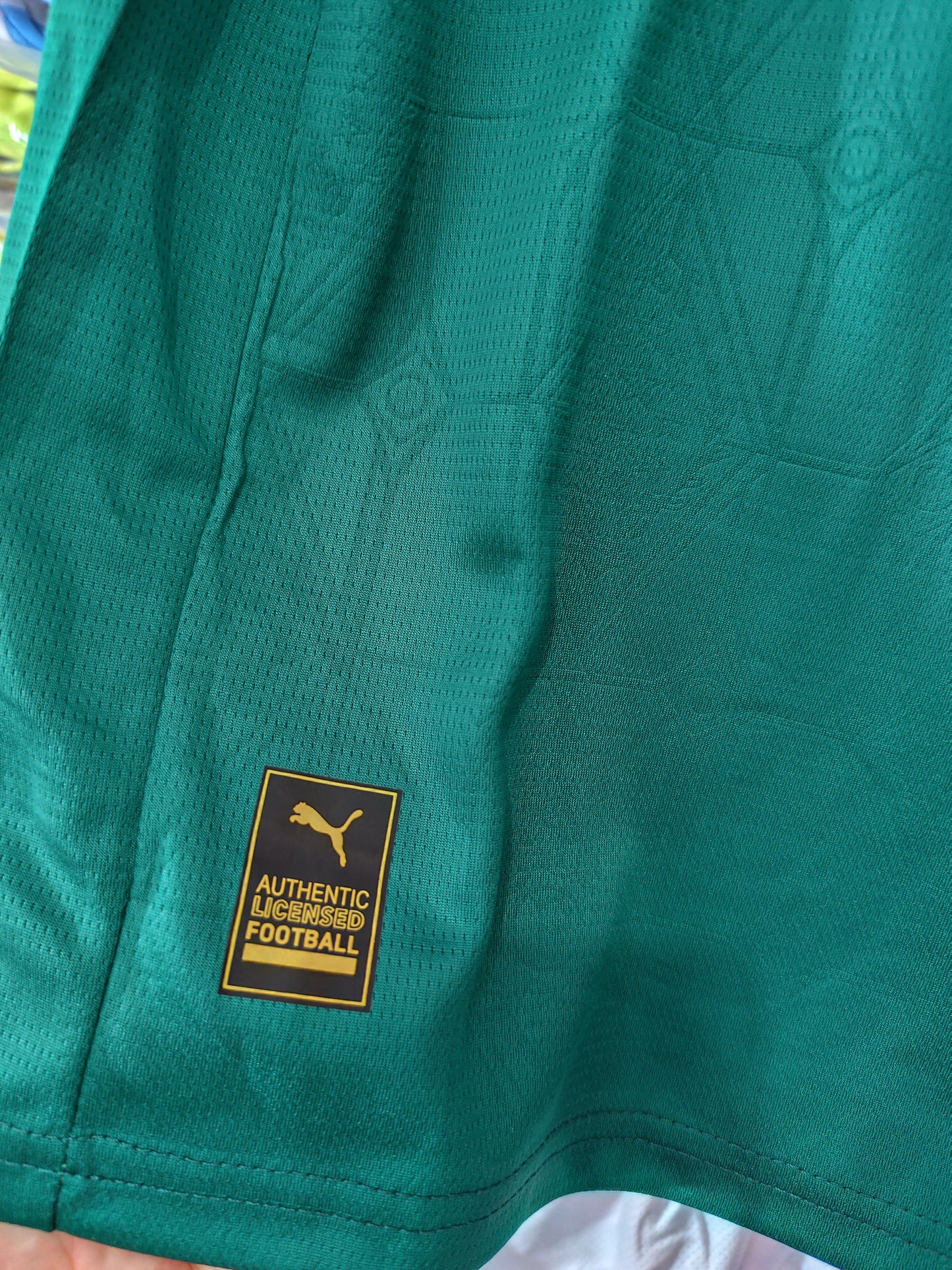 Conjunto Infantil Palmeiras Mod 2026 Tailandesa 1.1