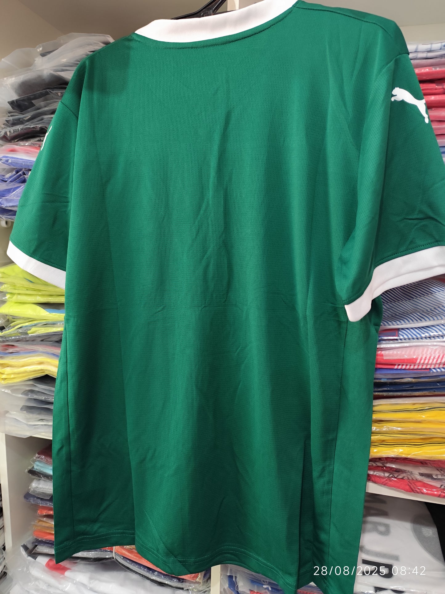 Palmeiras 2026 Tailandesa 1.1
