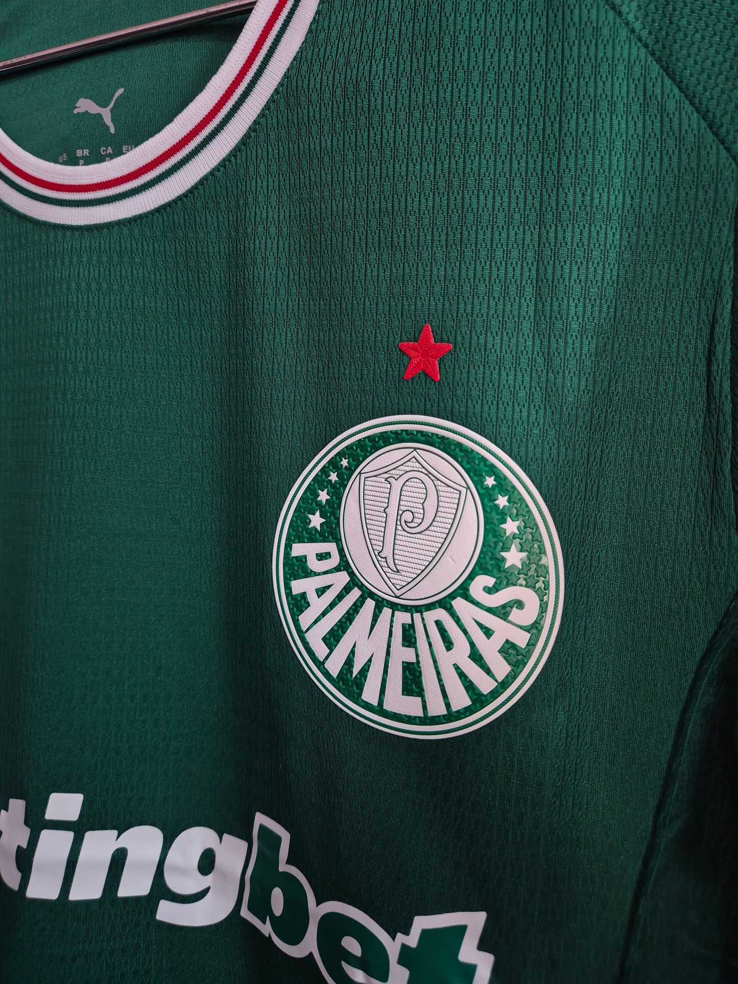 Palmeiras 2027 V. Jugador Tailandesa 1.1