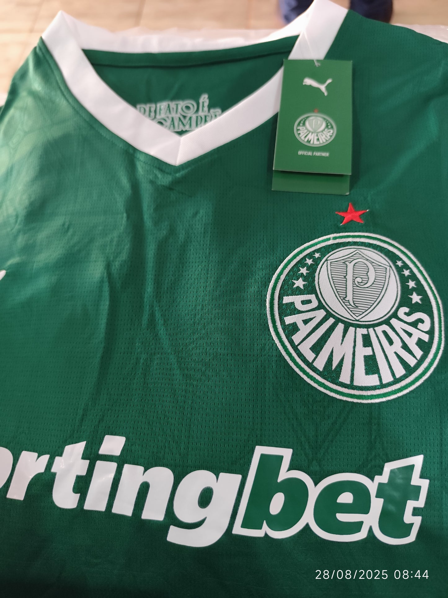 Palmeiras 2026 Tailandesa 1.1